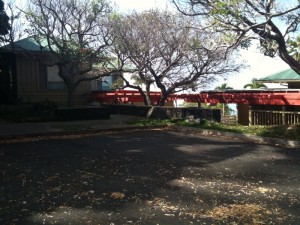 photo-3