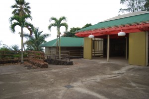 st. juvenaly 2010 058